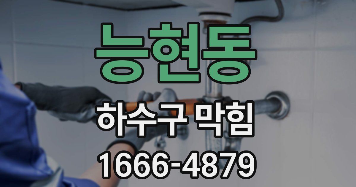 능현동 하수구 막힘