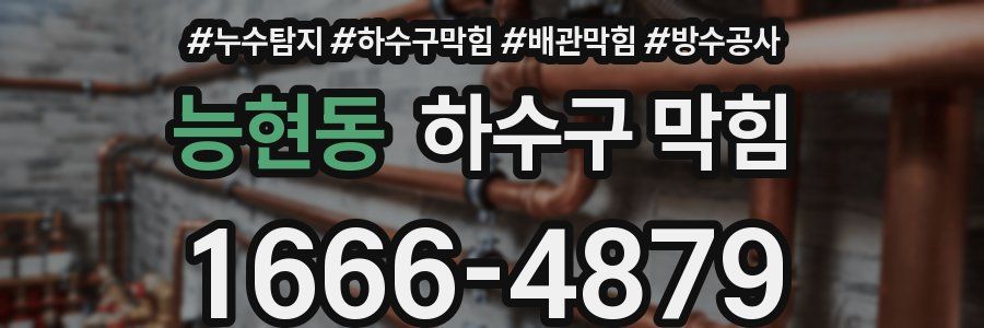 능현동 하수구 막힘