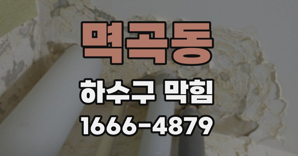 멱곡동 하수구 막힘