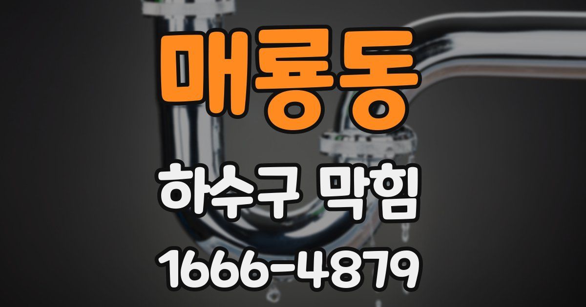 매룡동 하수구 막힘