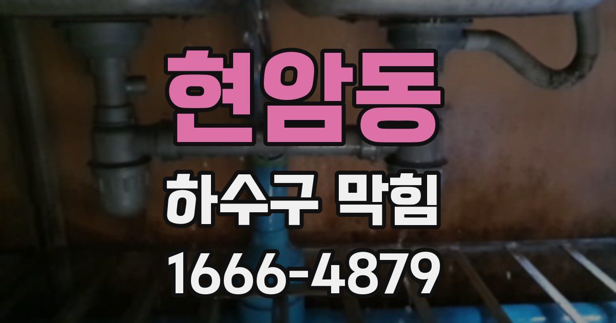 현암동 하수구 막힘