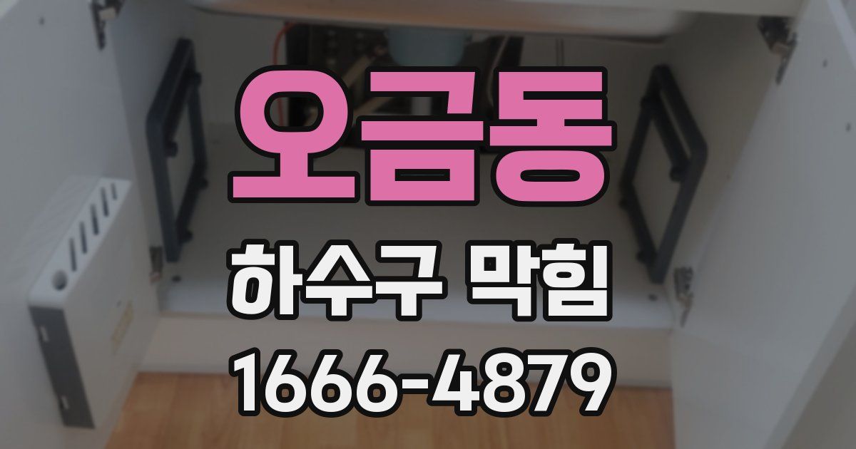 오금동 하수구 막힘