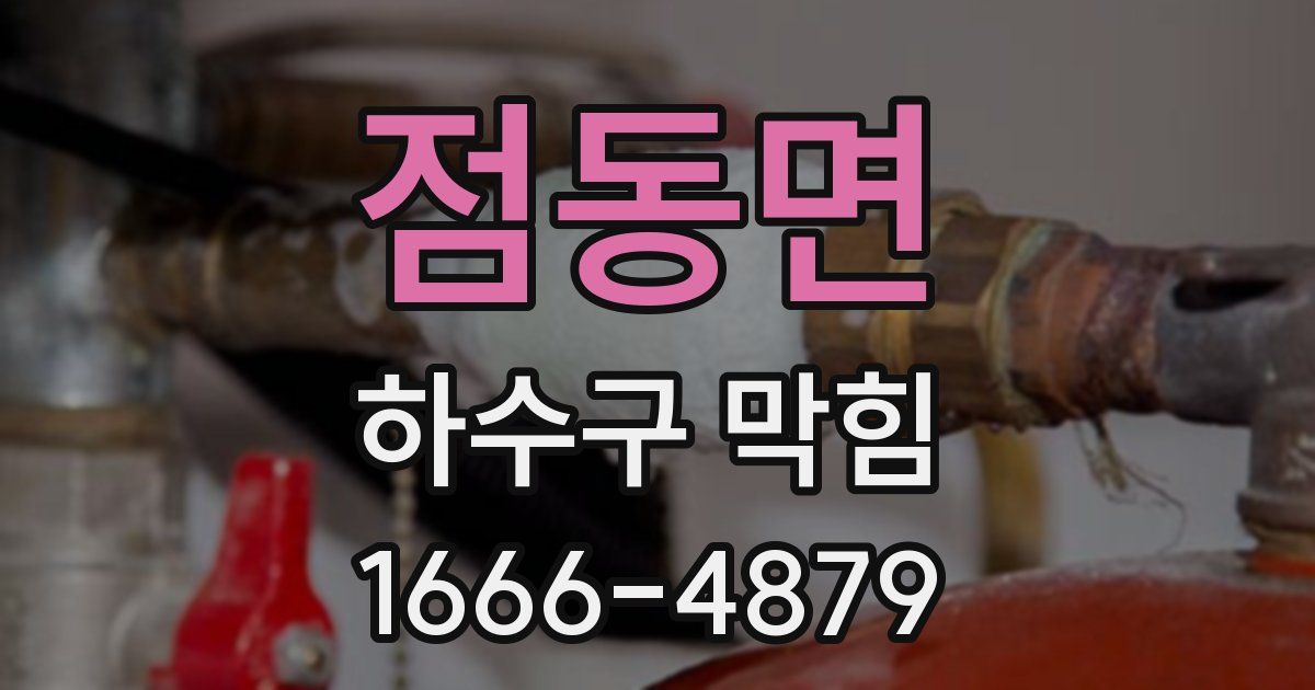 점동면 하수구 막힘