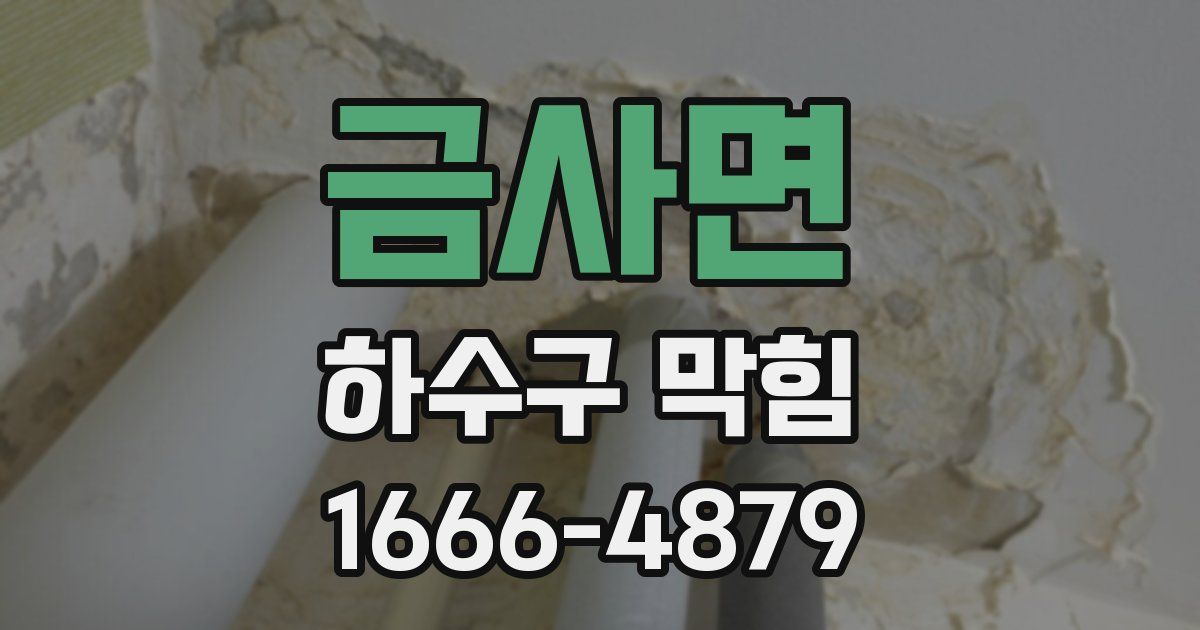 금사면 하수구 막힘