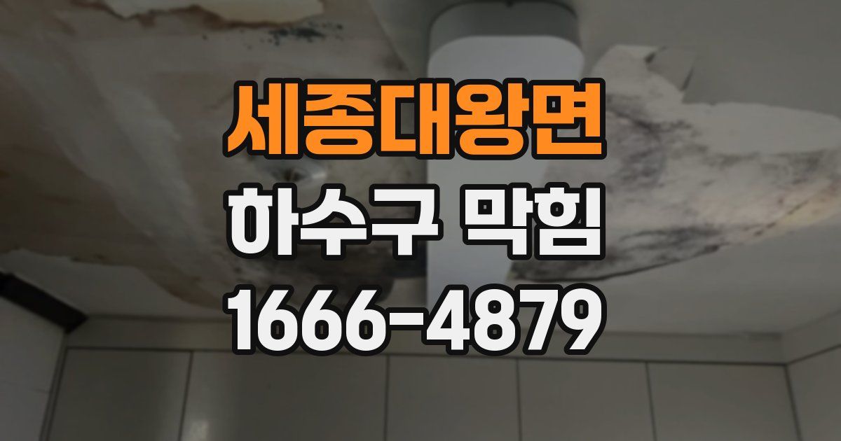 세종대왕면 하수구 막힘