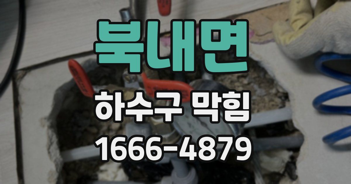 북내면 하수구 막힘