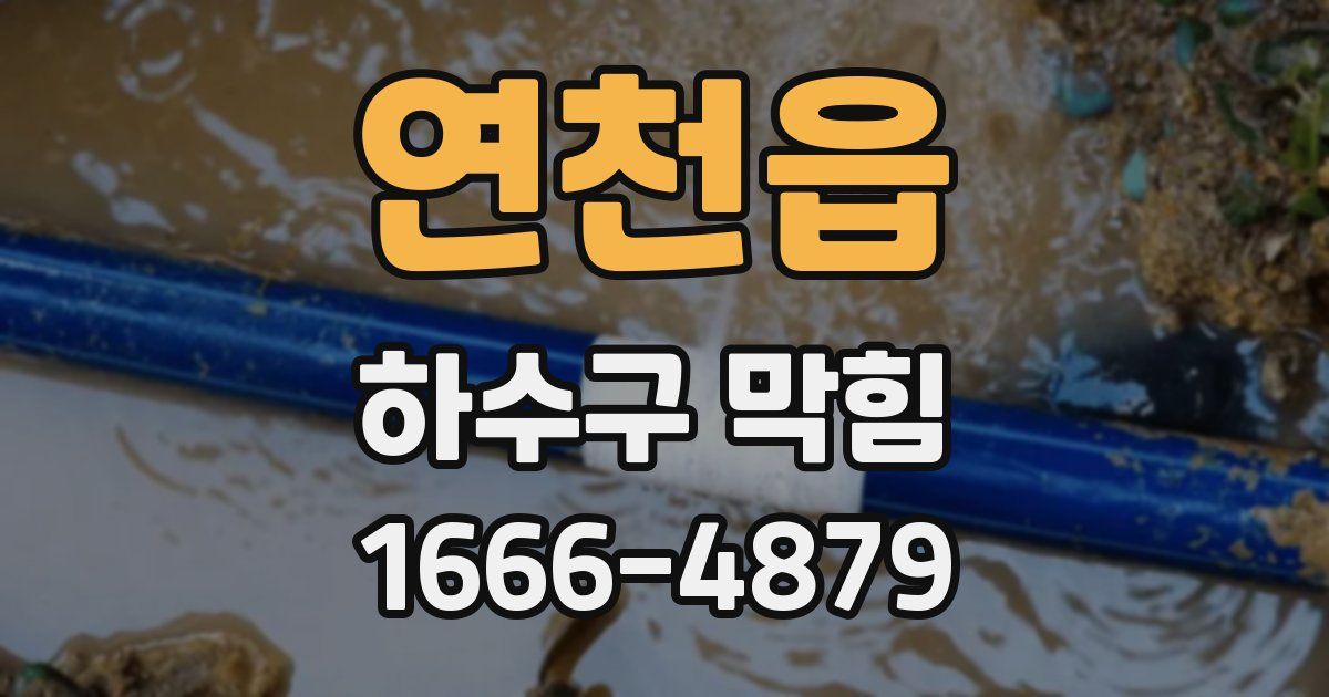 연천읍 하수구 막힘