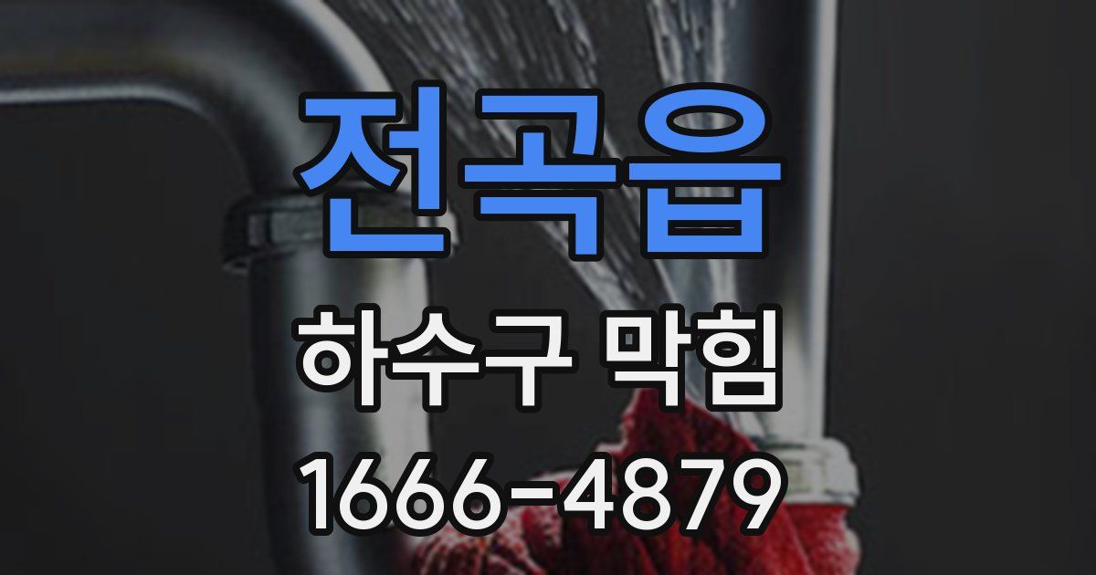 전곡읍 하수구 막힘