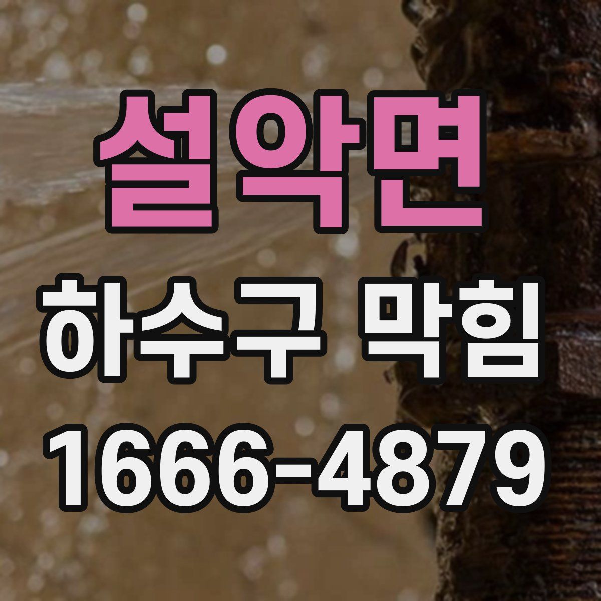 설악면 하수구 막힘