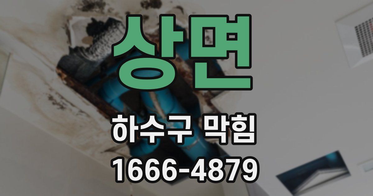 상면 하수구 막힘