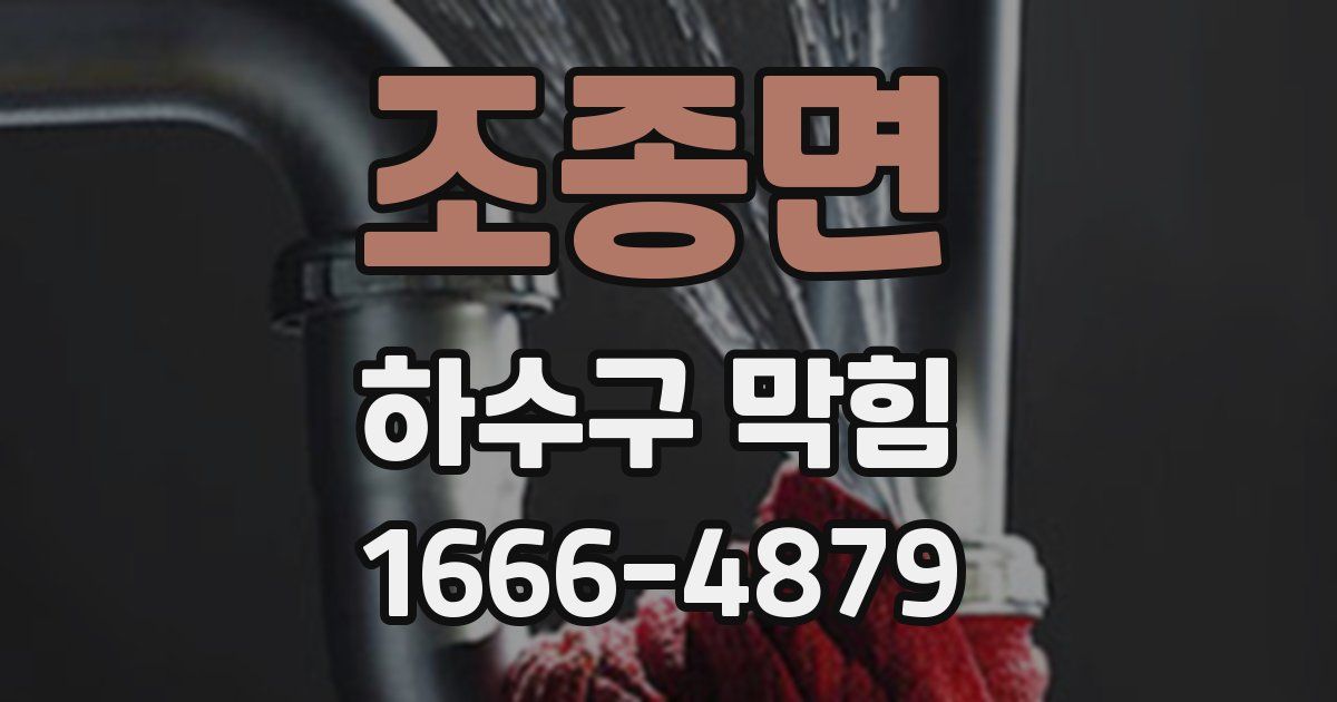 조종면 하수구 막힘