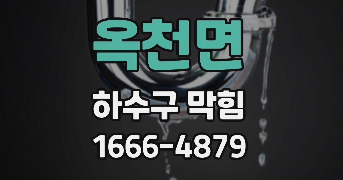 옥천면 하수구 막힘