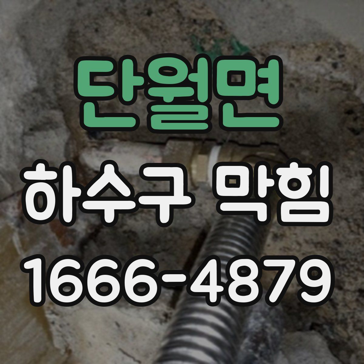 단월면 하수구 막힘