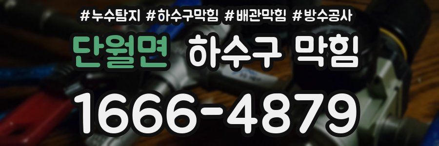 단월면 하수구 막힘