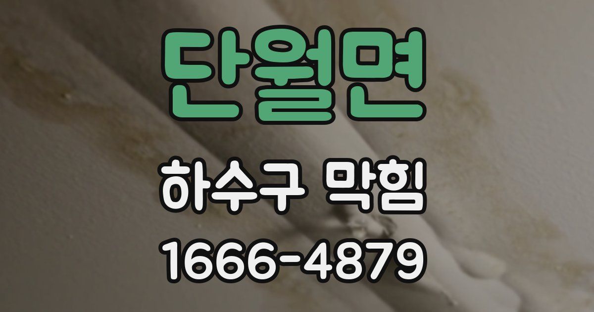 단월면 하수구 막힘