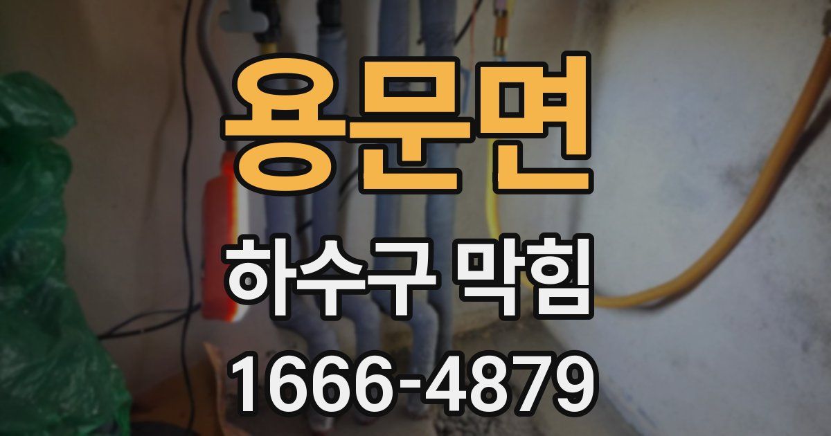 용문면 하수구 막힘