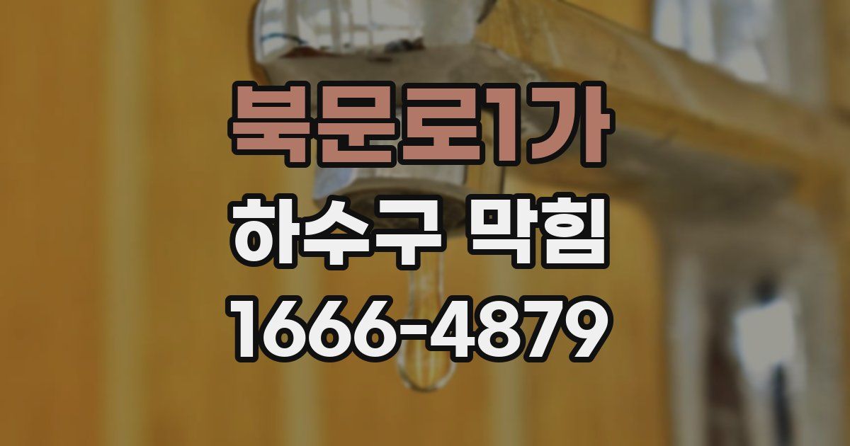 북문로1가 하수구 막힘