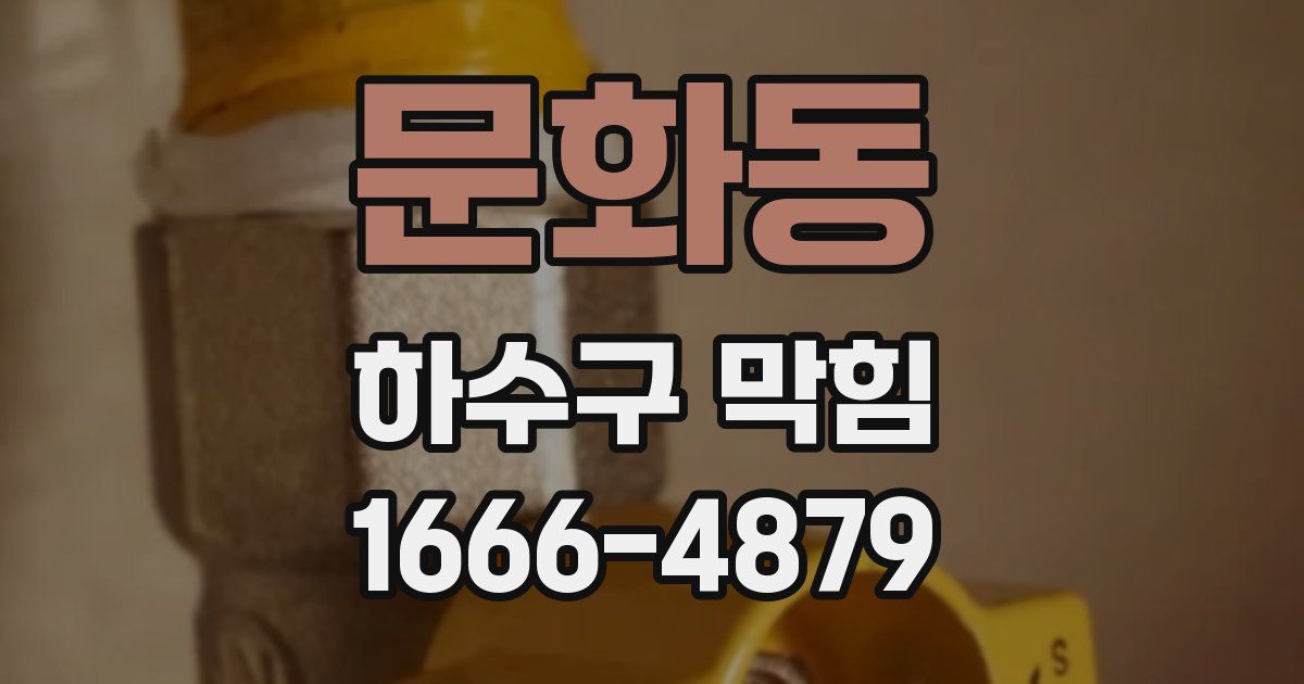 문화동 하수구 막힘