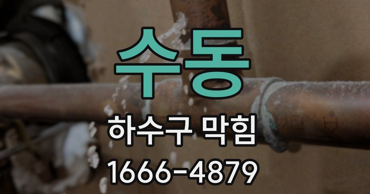 수동 하수구 막힘