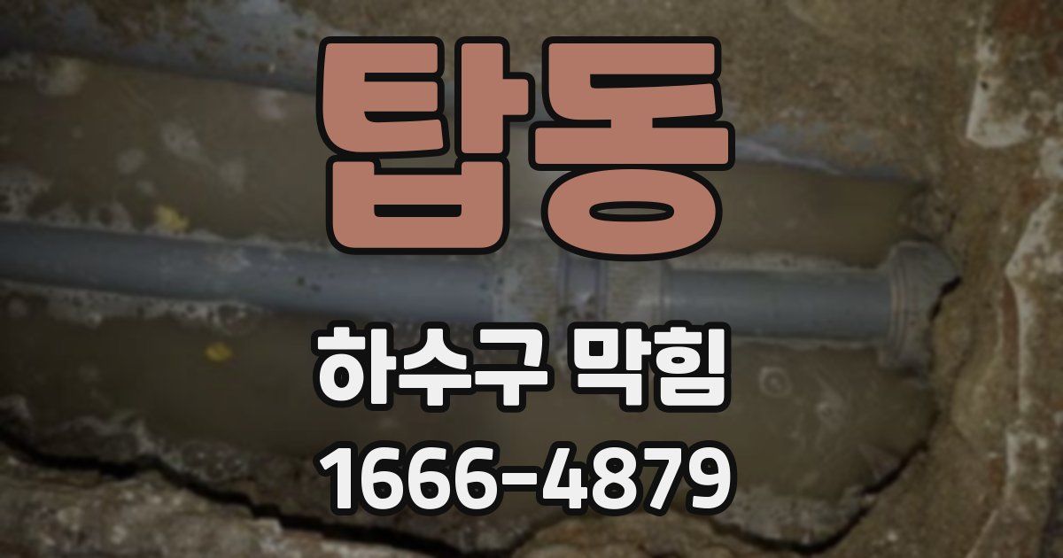 탑동 하수구 막힘