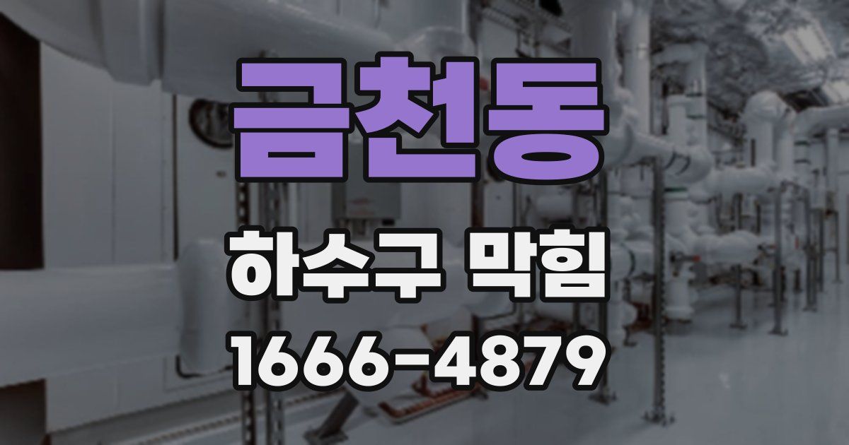 금천동 하수구 막힘