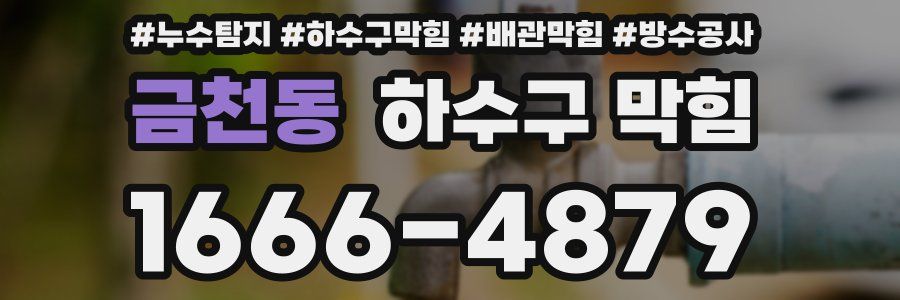 금천동 하수구 막힘