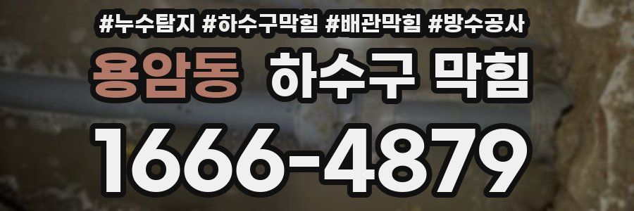 용암동 하수구 막힘