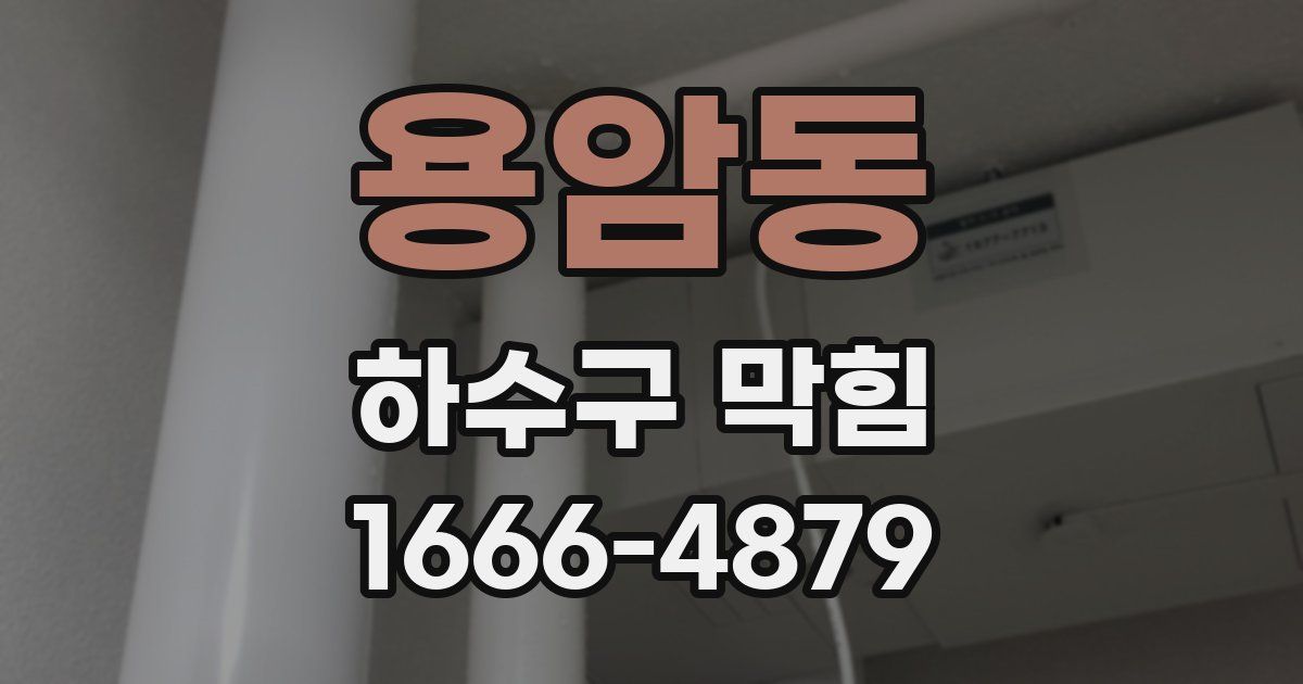 용암동 하수구 막힘