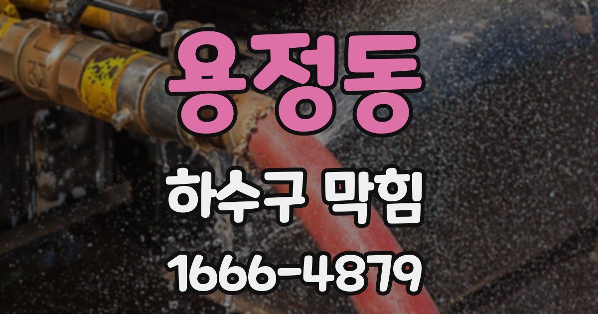 용정동 하수구 막힘
