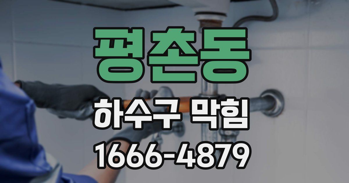 평촌동 하수구 막힘