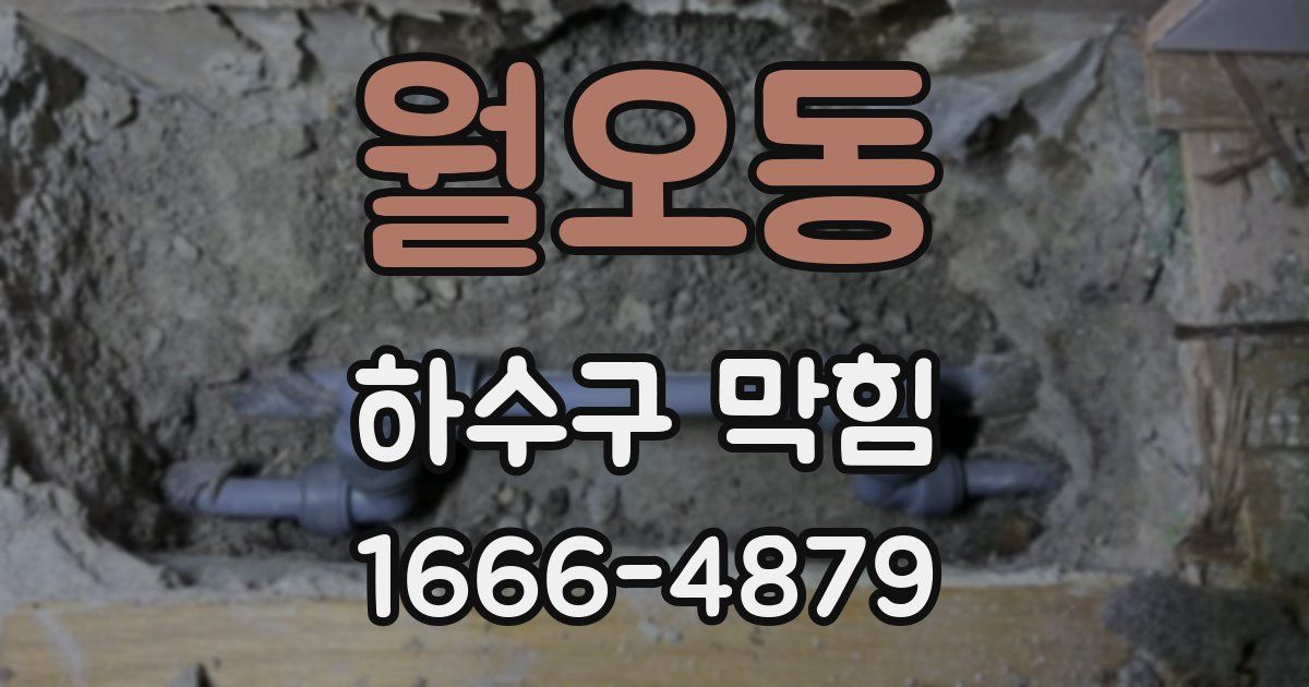 월오동 하수구 막힘