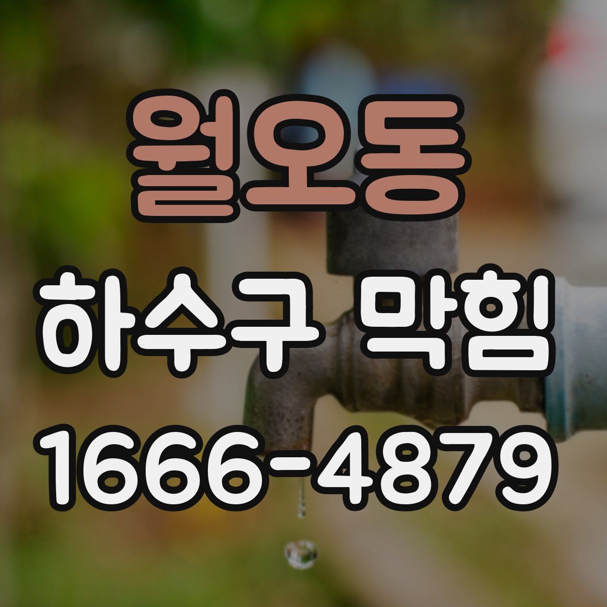 월오동 하수구 막힘