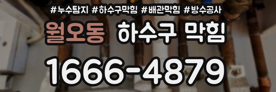 월오동 하수구 막힘