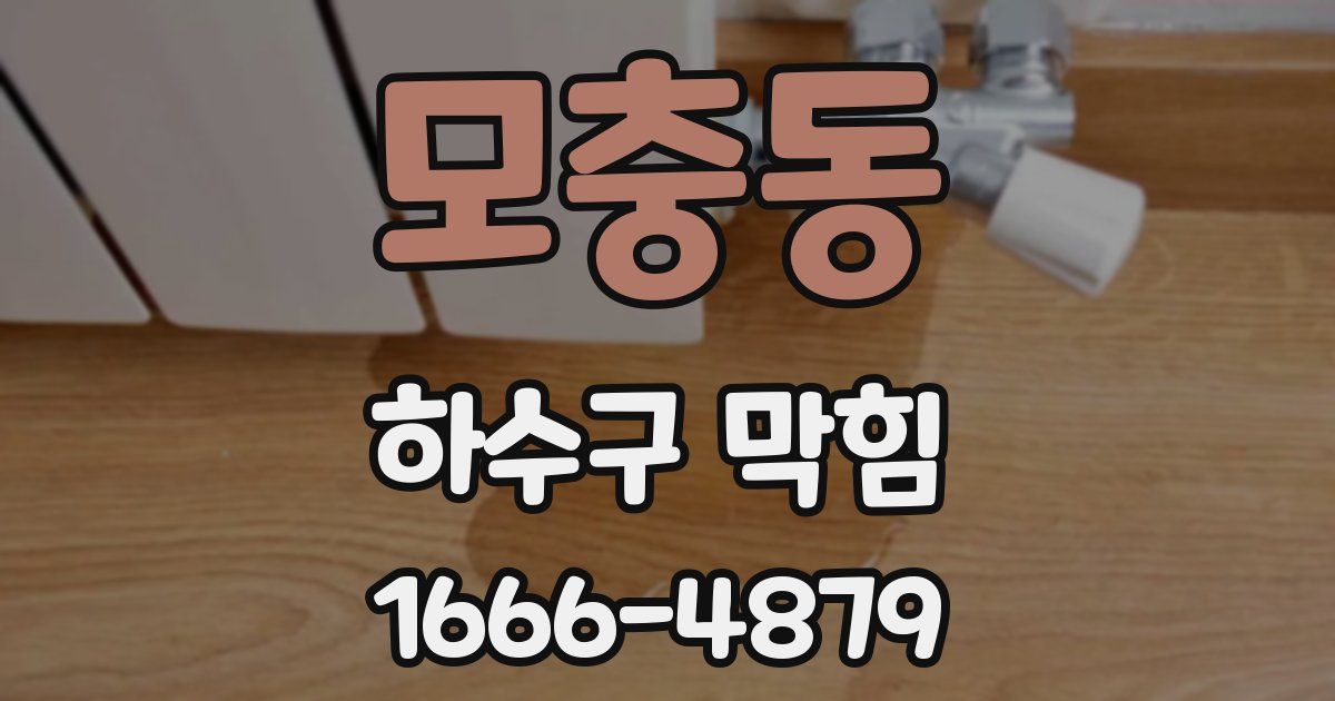 모충동 하수구 막힘