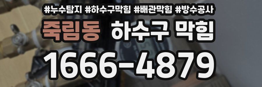 죽림동 하수구 막힘
