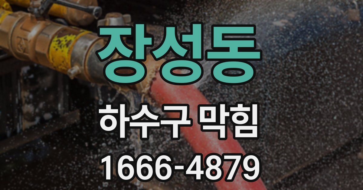 장성동 하수구 막힘