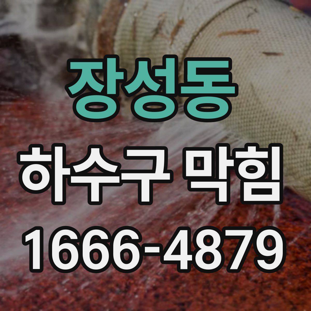 장성동 하수구 막힘