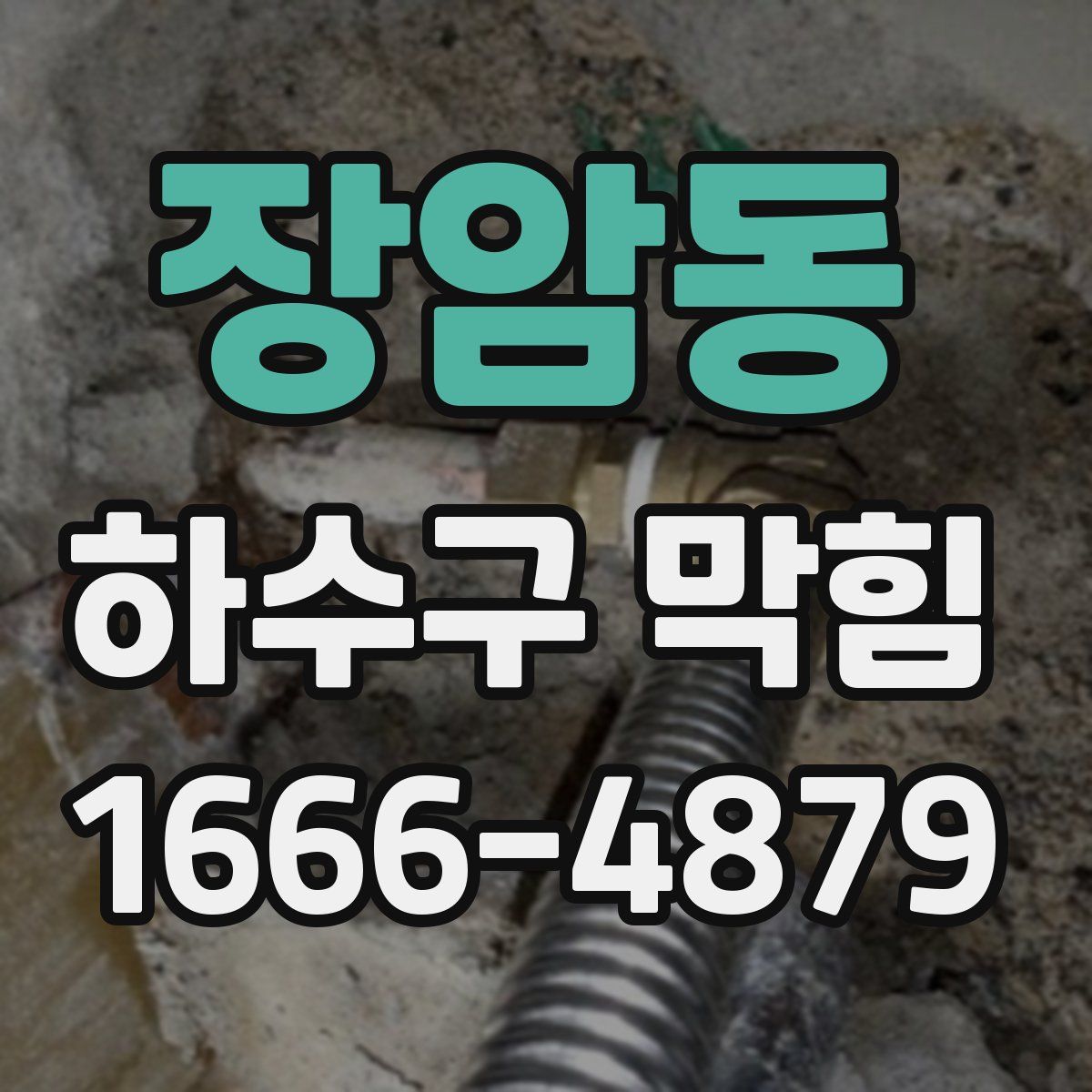 장암동 하수구 막힘