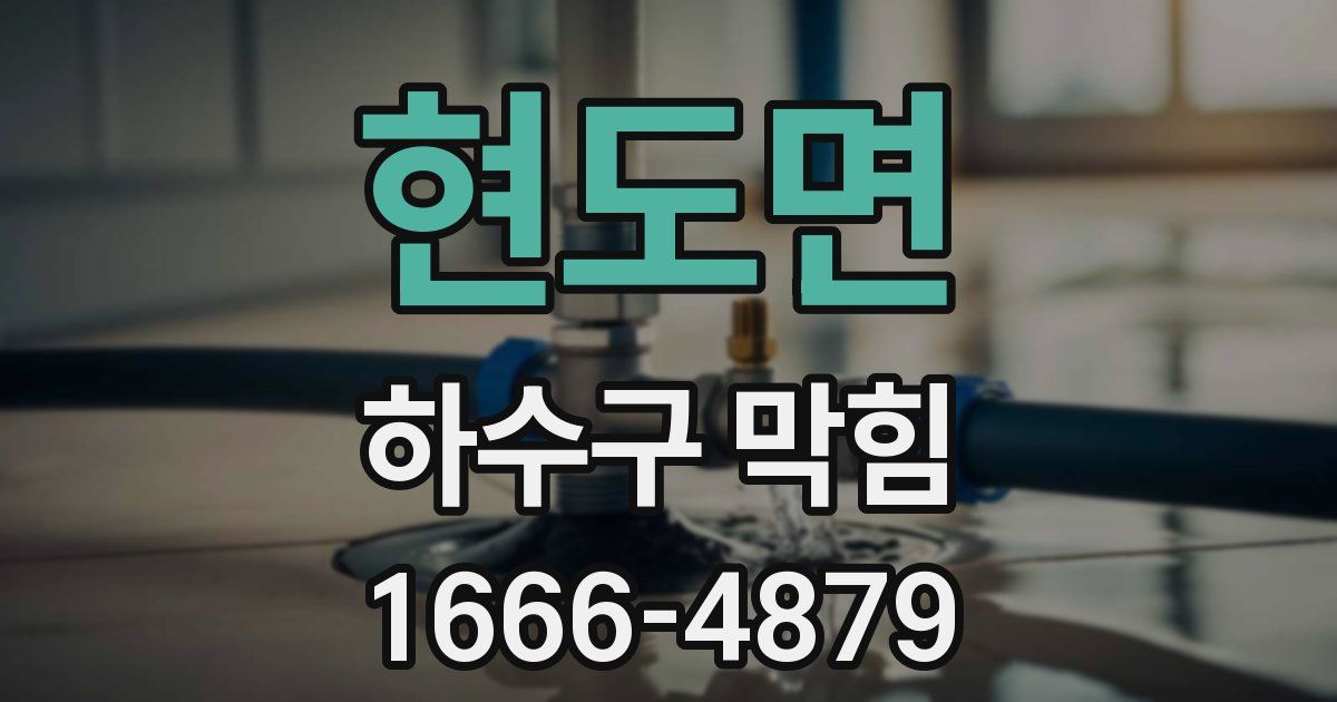 현도면 하수구 막힘