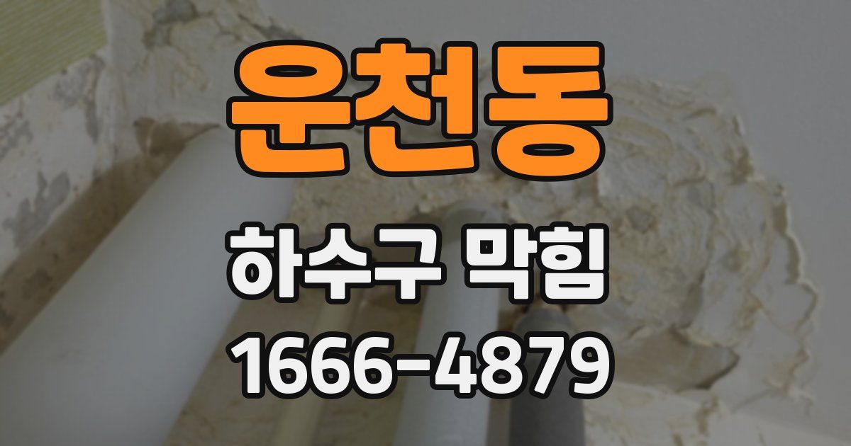 운천동 하수구 막힘