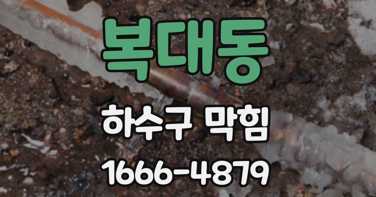 복대동 하수구 막힘
