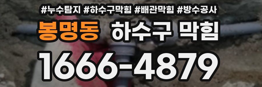 봉명동 하수구 막힘