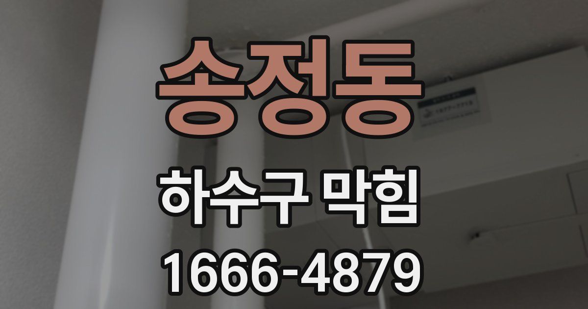 송정동 하수구 막힘