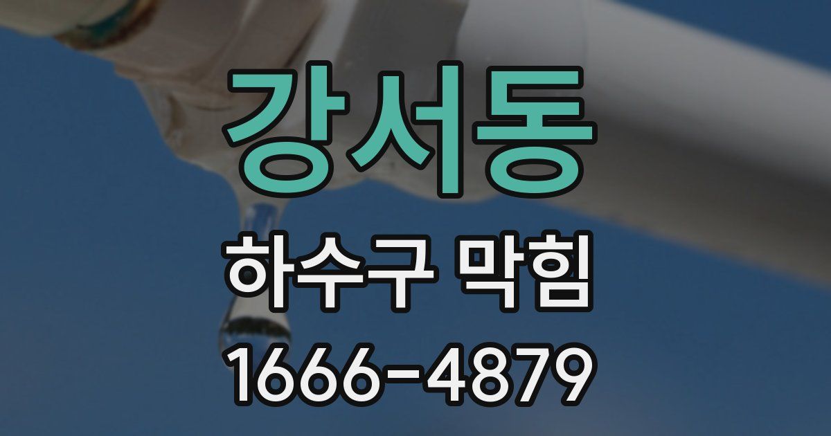 강서동 하수구 막힘