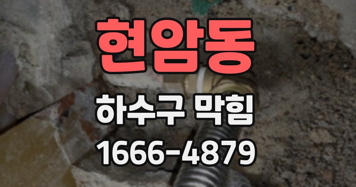 현암동 하수구 막힘