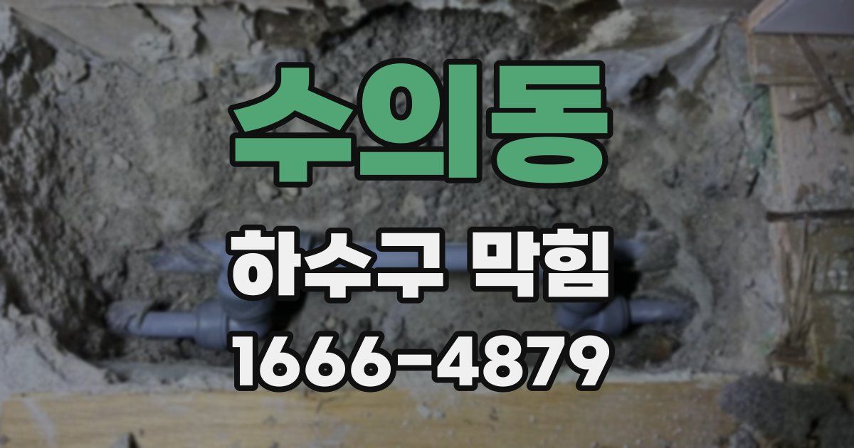 수의동 하수구 막힘