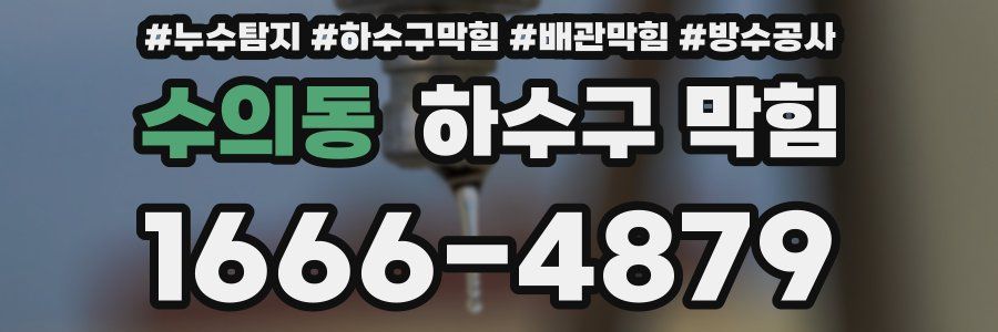 수의동 하수구 막힘