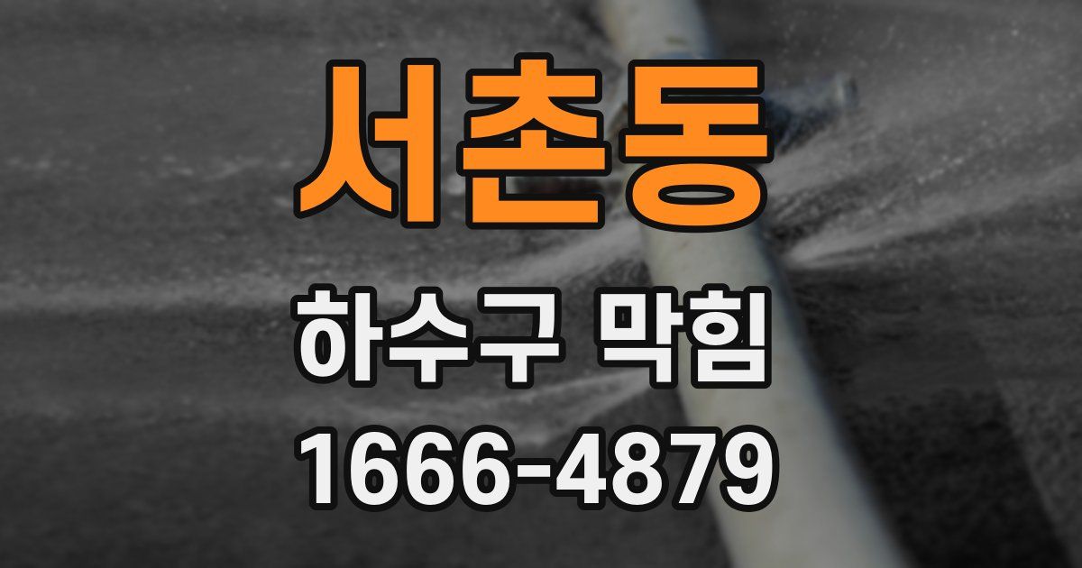 서촌동 하수구 막힘