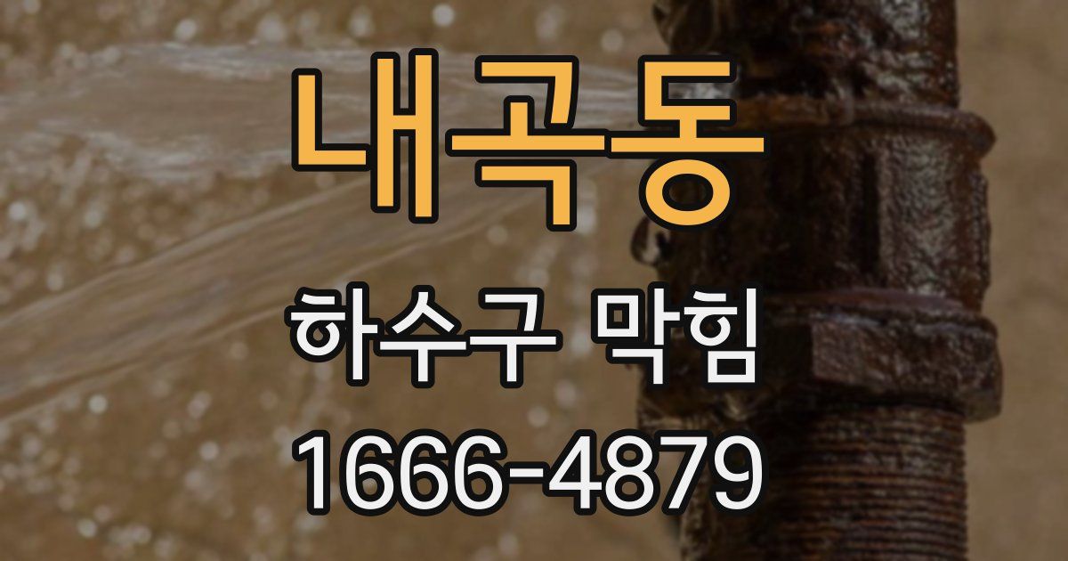 내곡동 하수구 막힘