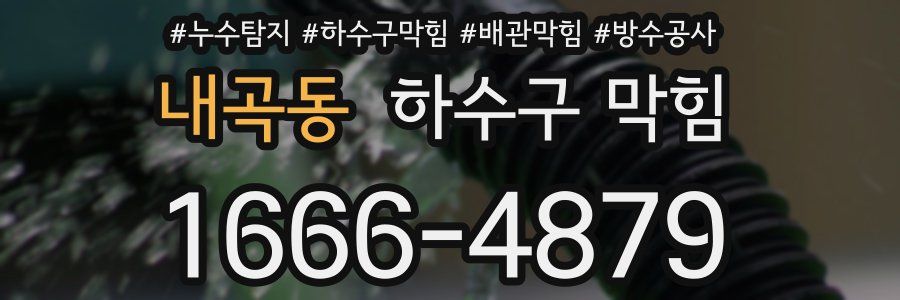 내곡동 하수구 막힘